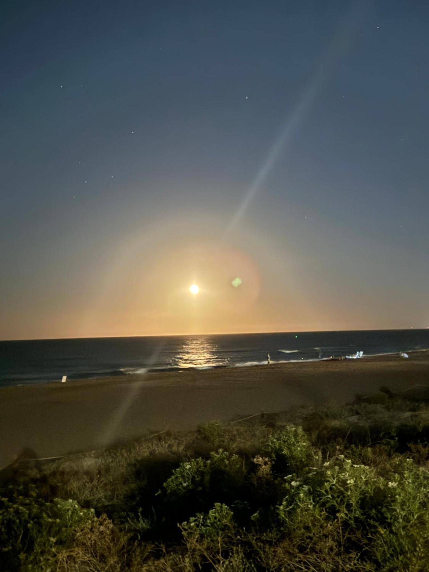 La Casita De La Playa Daire Xeraco Dış mekan fotoğraf